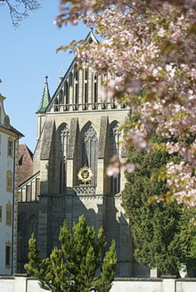Ehemalige Klosterkirche Salem hinter einem blühenden Baum