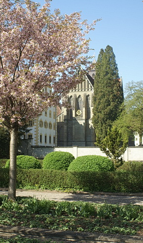 Ehemalige Klosterkirche Salem im Blütenschmuck des Frühlings
