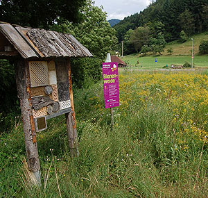Blühfläche in Gutach im Breisgau: Zusätzlich zur Wildblumenwiese bietet das Insektenhotel eine hilfreiche Nist- und Überwinterungshilfe. © Naturpark Südschwarzwald.