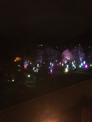 Leuchtende Pyramiden im weihnachtlich illuminierten Schlossgarten