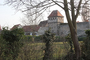 Freinsheim, Stadtmauern