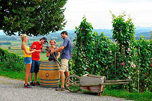 Weingenuss am Wegesrand: Auf dem Weinweg kommt der Weingenuss selbst nicht zu kurz, viele lokale Winzer liegen direkt an der Strecke.