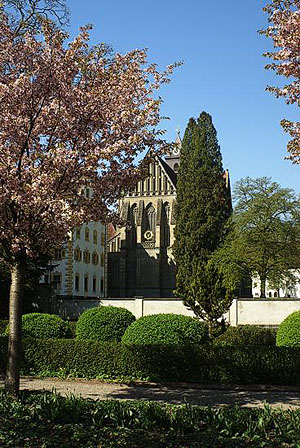 Klosterkirche Salem im Schmuck der Baumblüte