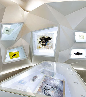 Blick in die aktuelle Ausstellung im Besucherzentrum der Grube Messel. Foto © Ingmar Kurth