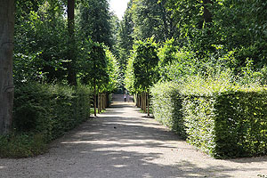 Schlossgarten Schwetzingen: In den Bosketten