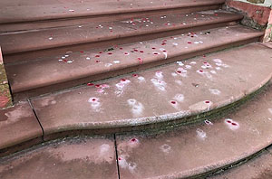 Verschmutzte Treppenstufen am Schloss Bruchsal. Foto: Laura Baumann, ssg