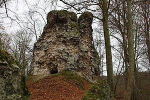 Questenberg, Lkr. Mansfeld-Südharz. Ansicht des Bergfriedstumpfes von Südosten. Foto: Felix Biermann, Landesamt für Denkmalpflege und Archäologie Sachsen-Anhalt