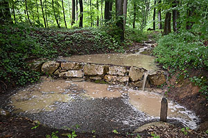 In den kommunalen Waldflächen wurden durch den Werkhof bereits zahlreiche Maßnahmen zur Verzögerung des Wasserflusses bei Starkregen umgesetzt. 