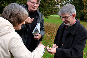 3 Personen bei der Begutachtung eines Pilzes