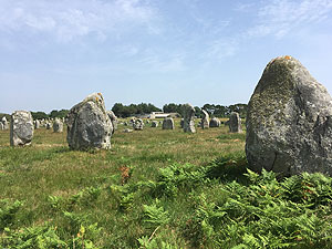 Megalithfelder von Carnac.