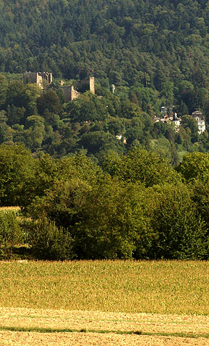 Badenweiler, Burg