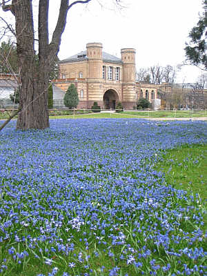 Botanischer Garten Karlsruhe © Staatsanzeiger/SSG