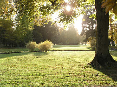 Der Schlosspark von Favorite im Licht des Sp�therbstes