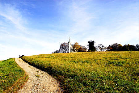 Bruchsal-Untergrombach, Michaelsberg