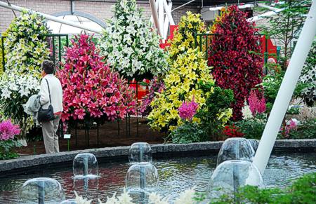 Blumenpracht im Keukenhof