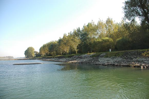 Flachufer bei Rhein-km 343 am 4.10.2011. © RP Karlsruhe