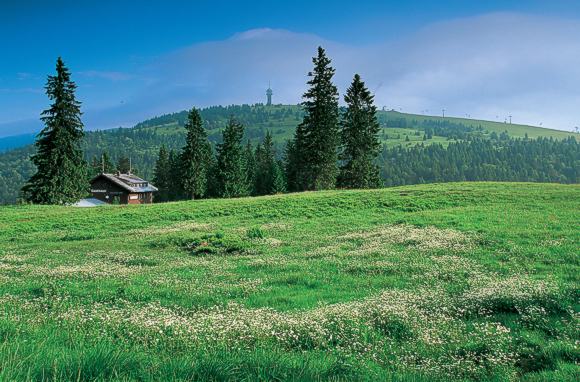 Feldberg mit Feldberg-Turm. © TI Feldberg