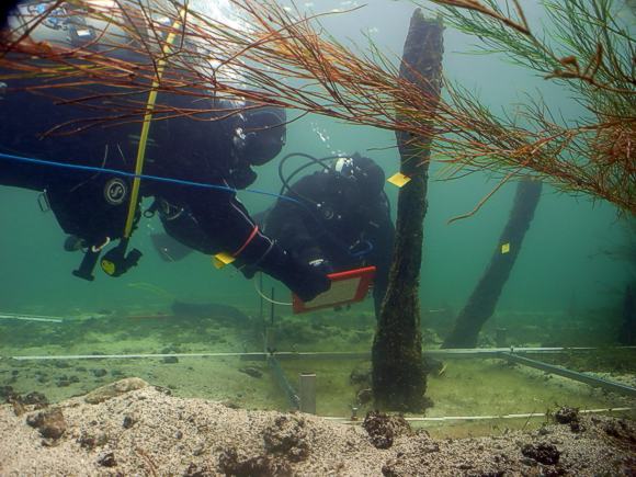 Oberfl&auml;chenaufnahme in Konstanz-Frauenpfahl: die starke Str&ouml;mung im Bodensee vor Konstanz stellt die arch&auml;ologischen Forschungstaucher vor besonders schwierige Bedingungen. Foto: LAD, M. Mainberger