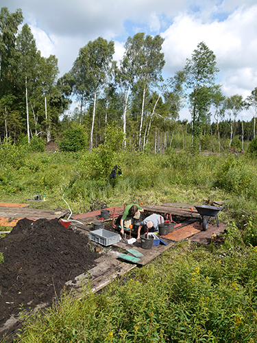 Grabungsareal im Olzreuter Ried. Foto: Landesamt f&uuml;r Denkmalpflege/W. Hohl