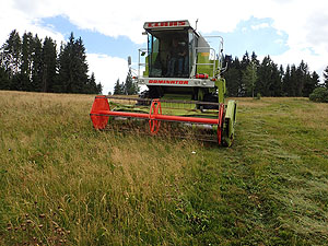 Mähdrescher auf einer Blumenwiese bei Lenzkirch in Grünwald. Hier wurden für das Projekt des Naturparks Südschwarzwald Samen von Bärwurz und Schwarzer Flockenblume geerntet.