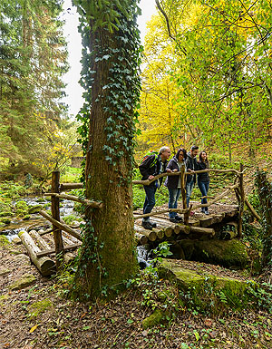 Wanderer an einer Bachbrüpcke im Landkreis Rastatt