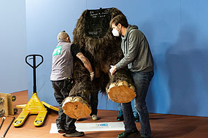 Zusammensetzen des Mammuts in der Ausstellung "Eiszeit-Safari": Zuerst kommen die Beine / © rem, Foto: Rebecca Kind